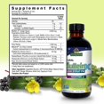 thumbnail image 3 of Sirope para la tos Nature's Answer Mullein X PM, 118 ml, vías respiratorias superiores, 3 of 9