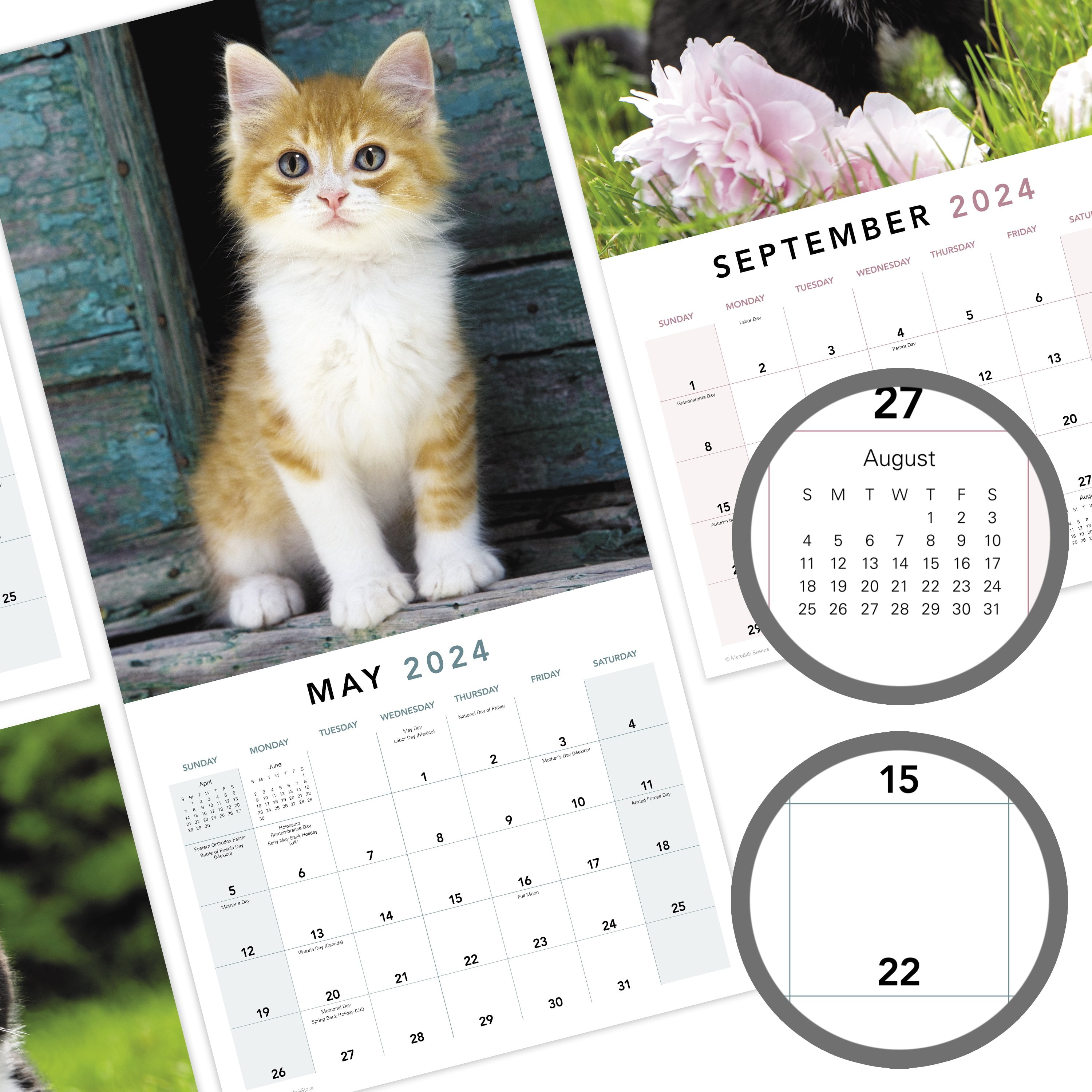 Mead Kittens Wall Calendar