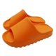 thumbnail image 1 of Chanclas Zapatillas Plataforma Para Playa ShuxiuWang 8390605214806, 1 of 1