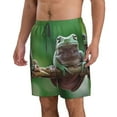 thumbnail image 2 of Kdxio Australian White Tree Frog Sitting on Branch Pattern Mens Casual Shorts - Drawstring Summer Beach Sports Shorts for Men, 2 of 9