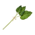 thumbnail image 1 of Bearachild Hojas de palma tropical de PU - Decoración reutilizable y no tóxica para fiestas Urable y reutilizable Decoración Asarum máximo, 1 of 6