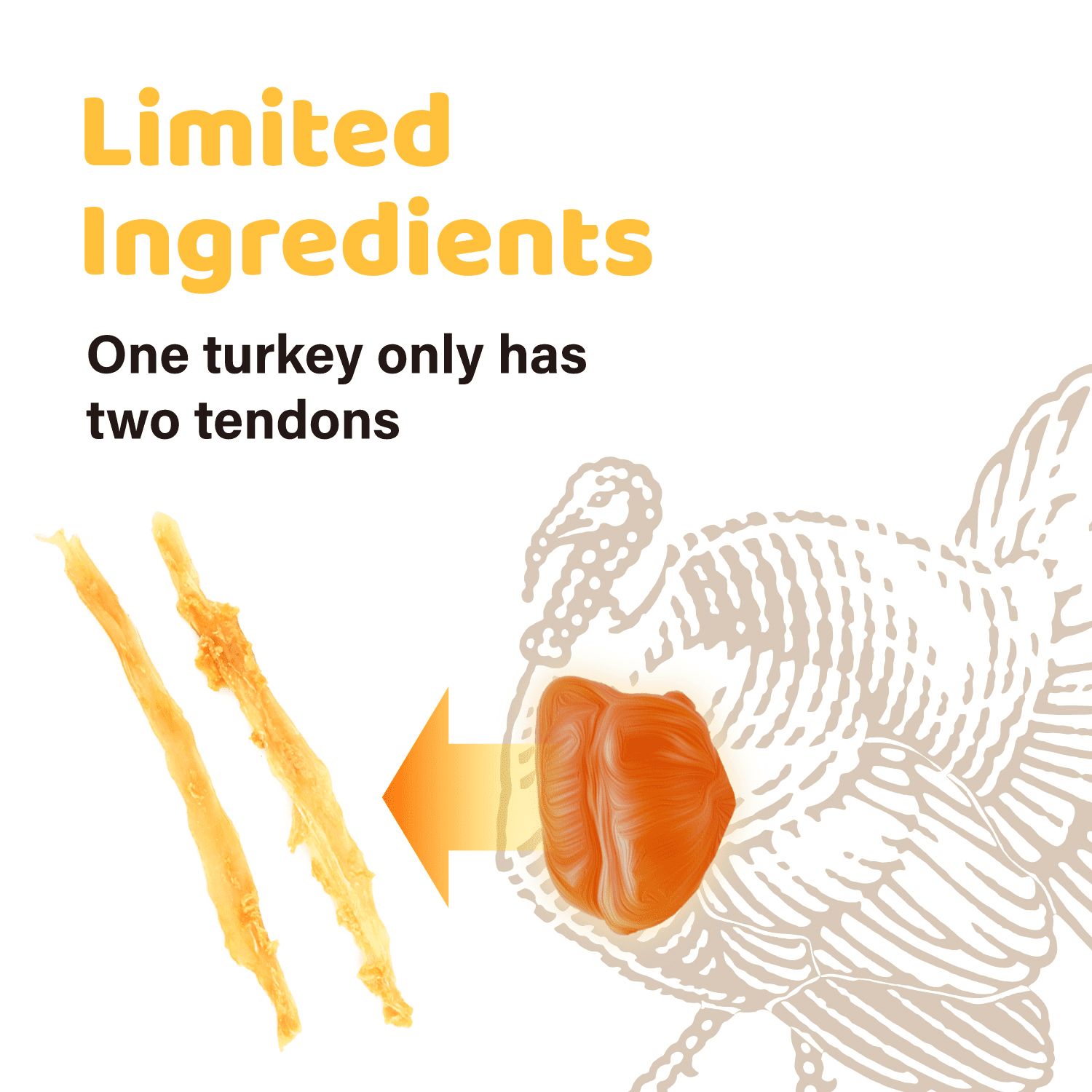 iPaw Turkey Tendon for Dogs, Ingredient Sourced from USA,  All Natural Human Grade Puppy Chew, Rawhide Alternative, 10 Units/Box bone (Large)