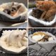 thumbnail image 4 of Cat Bed Washable 2 in 1 Cat Bed Plush Soft Cat Sleeping Bed Cat Sofa Fluffy Cat, 4 of 4