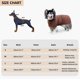 thumbnail image 4 of Toalla de albornoz para perros - Toalla de baño súper absorbente de secado rápido de microfibra para perros y gatos, suave, 4 of 5