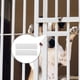 thumbnail image 4 of unbranded 4Ud Kit De Refuerzo Para Puertas De Mascotas En U Para Uso Doméstico, 4 of 8