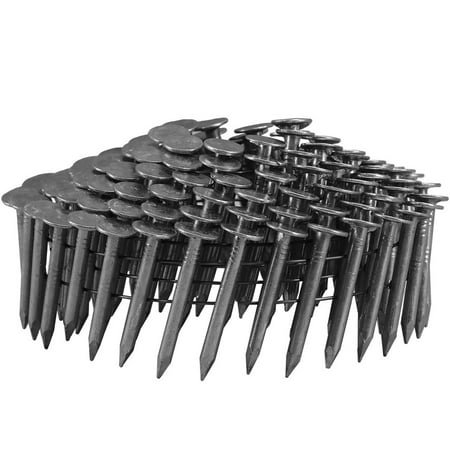 

Freeman SSRN-125C36 15 Degree 1-1/4 in. Wire Collated Stainless Steel Ring Shank Coil Roofing Nails (3600 Count)
