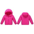 thumbnail image 3 of Toddler Kids Boys Girls Child Hooded Down Coat Winter Warm Jacket Zipper Outerwear, 3 of 3