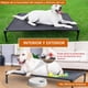 thumbnail image 3 of Cama para Perro Elevada,122×71×21cm Cama Elevada para Perro Grande con Malla Lavable y Transpirable,colchoneta Perro Grande extraíble para Uso Interior y Exterior, 3 of 8