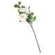 thumbnail image 5 of OHOIOLLA Flor Artificial Para De Mesas Y Bodas Con Sofisticado Y Duradero, 5 of 8