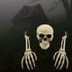 thumbnail image 5 of Esqueleto Humano BLESIY Decoración de Halloween Modelo de Anatomía, 5 of 8