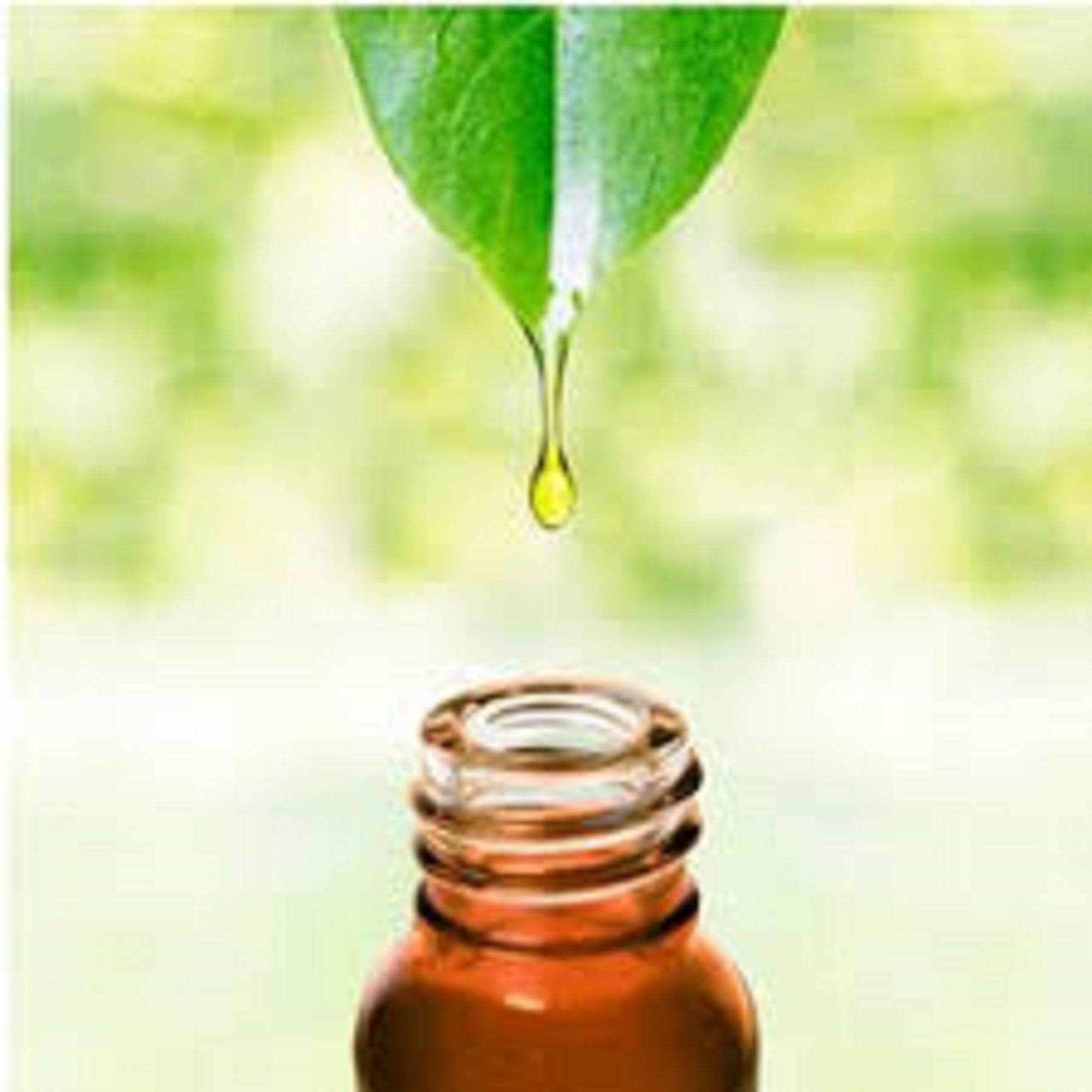 CEYLON Cinnamon leaf Essential oil 1oz/30 ml dropper bottle