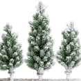 thumbnail image 6 of Northlight Frosted Pine Tree Trio Christmas Decoration - 8" - Unlit, 6 of 7