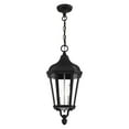 thumbnail image 4 of Livex Lighting Morgan 2 Light Outdoor Pendant Lantern, 4 of 9