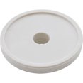 thumbnail image 2 of Bypass Disc, Pentair Vac-Mate Skimmer, 2 of 2