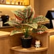thumbnail image 4 of Artificial Plant in Pot Fake Tree Trunks Leaves Faux Potted for Indoor Outdoor Modern Decoration Home Office Living Room Bedroom Balcony Housewarming Gift, 4 of 6