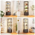 thumbnail image 6 of BROTTAR Display Shelf with 3 Color Lights, Curio Cabinet for Collectibles with Drawer, Display Case with Human Body Sensor, Black, 6 of 7