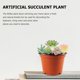 thumbnail image 4 of GOOHOCHY 6 piezas de plantas suculentas artificiales simuladas, plantas suculentas decorativas para paisajismo., 4 of 8