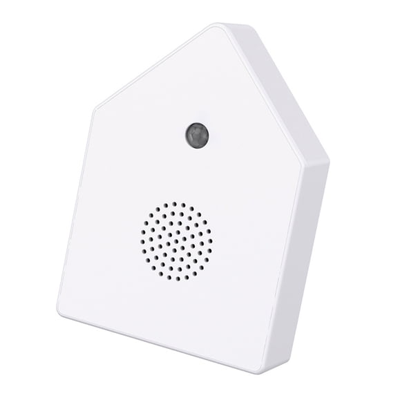 Modern Singing Bird Box with Motion Sensors Noise for Interior Bathroom Relaxation