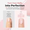 thumbnail image 4 of modelones Nail Strengthener Pale Pink White Nail Repair for Damaged Nails Strengthening Polish 15ml Nail Growth and Strengthener Natural Concealer Foundation Nail Care Gifts for Women, 4 of 4