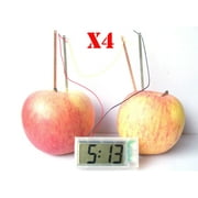$$$$$ Best Value, 4 pcs set, 13838, Science Generate Electricity Clock for school, kids learning about chemistry, Physics