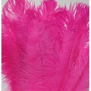 Unique Bargains 6-8 Inch Goose Feathers, Bulk Natural Feathers Style 4,  Pink - ShopStyle Artwork