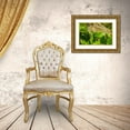 thumbnail image 3 of Jaynes Gallery 18x13 Gold Ornate Wood Framed with Double Matting Museum Art Print Titled - Florida-Wakodahatchee Wetlands Green iguana close-up, 3 of 4