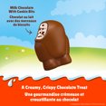 thumbnail image 3 of KINDER® Mini Friends, Milk Chocolate with a Milky Filling and Cookie Bits, 122g, Easter Candy, 3 of 6