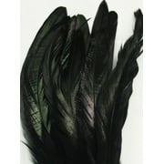 Black Coque Rooster Tail Feathers 8-10 inch per Half Ounce