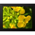 thumbnail image 2 of Grayscale 24x19 Black Modern Framed Museum Art Print Titled - Yellow Wildflower I, 2 of 5