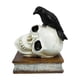 thumbnail image 2 of Fiudx Ofertas y liquidaciones Cuervos sobre calaveras Decoración del hogar Estantería de libros Decoración Cuervos posados sobre esqueletos Estatuas para mesa Escritorio Oficina Hogar, 2 of 6