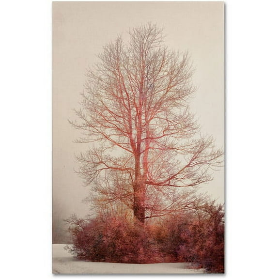 Trademark Fine Art "A-Blush in the Fog" Canvas Art by Lois Bryan