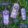 thumbnail image 5 of Shampoo Herbal Essences Anti-Frizz Lavanda & Aceite de Almendras 240 ml, 5 of 5