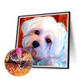 thumbnail image 2 of Pintura de diamante 5D DIY Full Square Drill Dog Kit Decoración del hogar Arte Artesanía Hugtrwg Para estrenar, 2 of 9