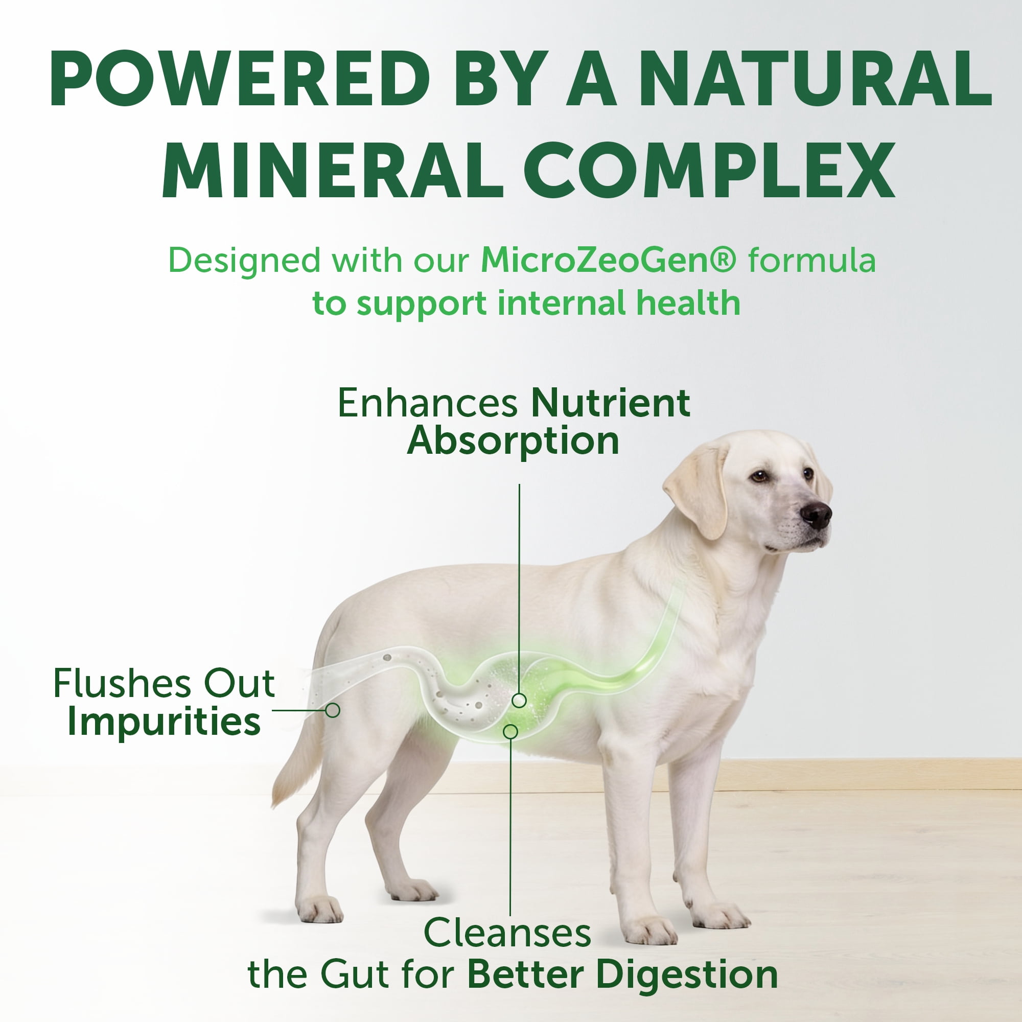 Nature's Protection Superior Care Dry Dog Food, White Coat, All Life Stages, Grain-Free White Fish, 8.8lb