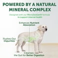 thumbnail image 5 of Nature's Protection Superior Care Dry Dog Food, White Coat, All Life Stages, White Fish & Rice, 22lb, 5 of 9