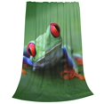 thumbnail image 2 of Honeii Red-Eyed Tree Frog-1 Print Fleece Blanket - Throw Blanket for Bed, Sofa, Couch, Camping, and Travel , Microplush Ultra Soft Warm Blanket-40"x30", 2 of 7