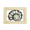 thumbnail image 1 of Black Marine Life Snail Pattern Desktop Decorate Photo Frame Picture Art Painting 5x7 inch, 1 of 3