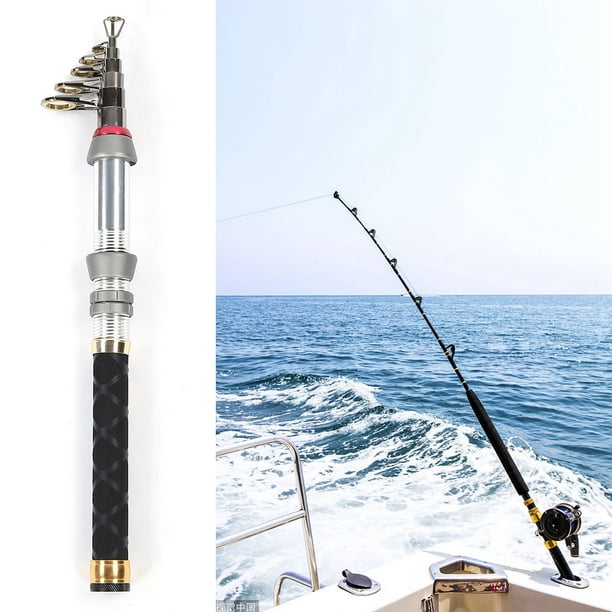 Canne à pêche télescopique Portable, Durable, en Fiber de carbone