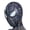 A, variant on Cosplay Accessory Spider Head Cover with Reflective Lenses for Halloween Party Role Play Show