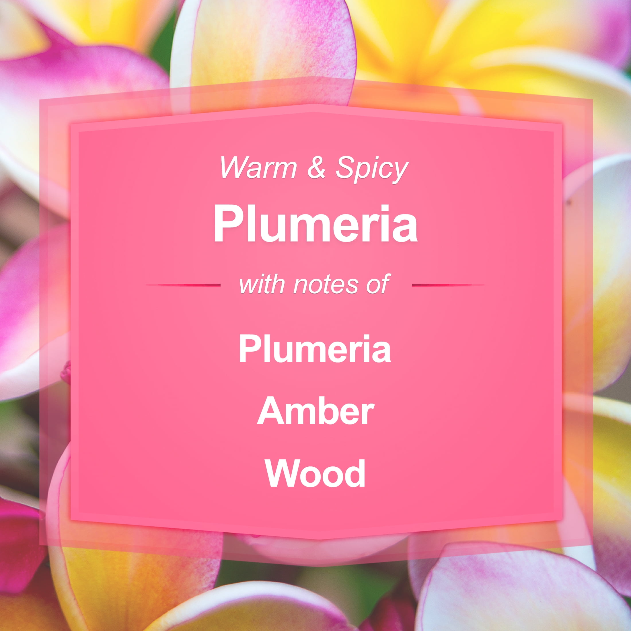 Plumeria Fragrance Oil  AAA Candle Supplies – Waxy Flower