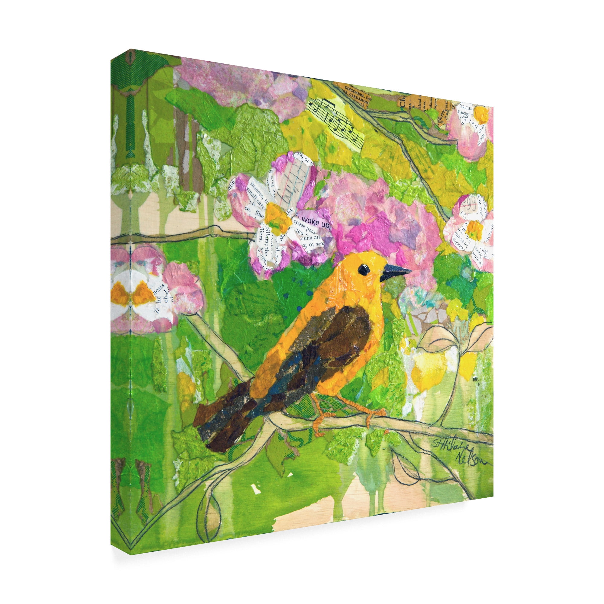 Trademark Fine Art Animals Canvas Art ' Signs Of Spring Ii ' by Elizabeth St. Hilaire