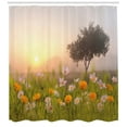 thumbnail image 3 of Ambesonne Country Home Shower Curtain, Daisies Tree Mist, 69"Wx84"L, Multicolor, 3 of 3