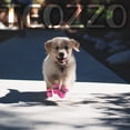 thumbnail image 2 of ORUYROP Dog Boots Small Bread Medium Sized Dogs Anti-Slip Dog Booties Snow Puppy Shoes Winter Dog Paw Protectors with Reflective Straps 4PCs (Size 7: 2.16"(Width), Pink-12 Pcs), 2 of 7