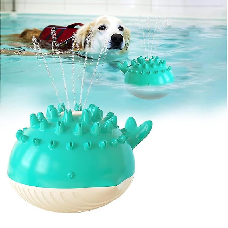 Dog pool accessories hotsell