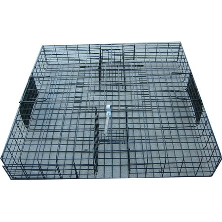 THE SQUIRRELINATOR LIVE SQUIRREL TRAP ONLY