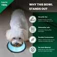 thumbnail image 5 of Iconic Pet 2-Pack Color Splash Stripe Non-Skid Pet Bowl For Dog Or Cat, Blue, 16 Oz, 2 Cup, 5 of 13