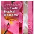 thumbnail image 5 of Glade Plugins Refills Air Freshener, Scented And Essential Oils For Home And Bathroom, Exotic Tropical Blossoms, 3.35 Fl Oz, 5 Count, 5 of 6