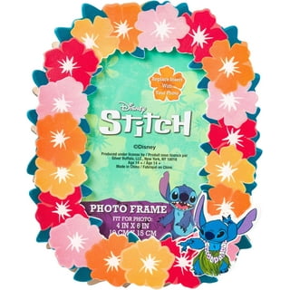 Silver Buffalo Lilo and Stitch Lot de 4 mini verres pastel 42,5 g :  : Cuisine et Maison