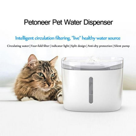 Auto animal feeder 2025