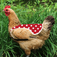 thumbnail image 5 of Hen chicken saddle apron feather protector back protector chicken saddle apron, 5 of 5